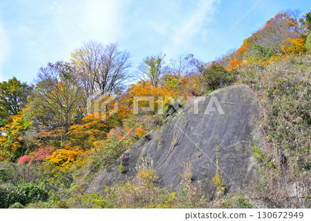 新潟縣十日町市國道353號眺望的山間紅葉、秋日風景 130672949