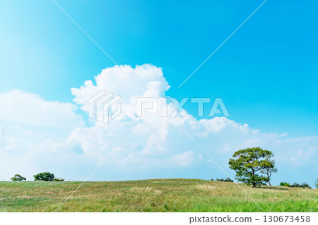 Blue sky and clouds and prairie Blue sky and clouds and prairie 130673458