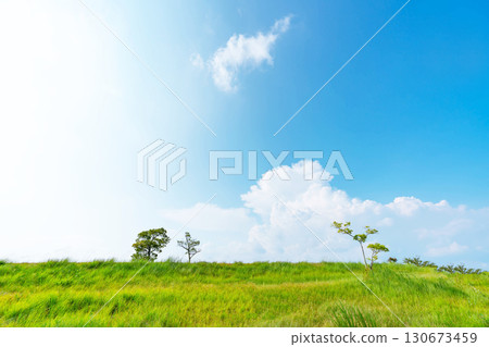 Blue sky and clouds and prairie 130673459