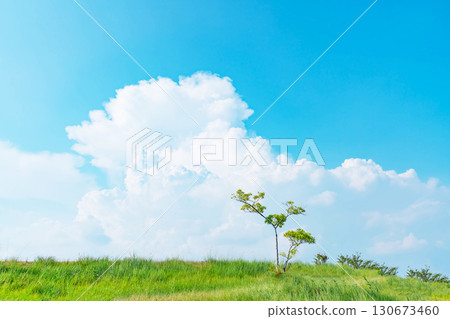 Blue sky and clouds and prairie Blue sky and clouds and prairie 130673460
