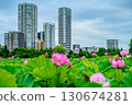 Lotus (Shinobazu Pond, Ueno Park) 130674281