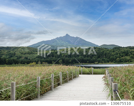 Otatomari Swamp, Rishiri Island, Hokkaido 130675510