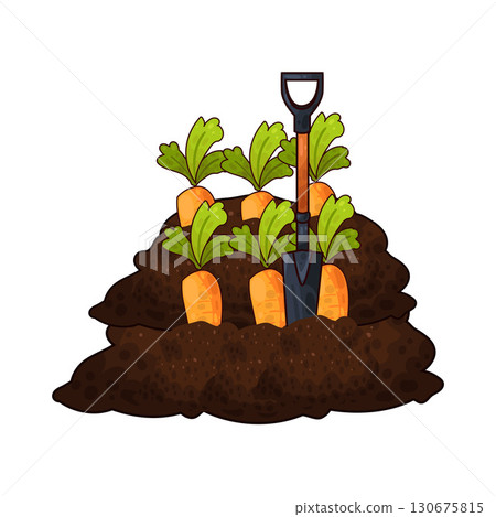 illustration of shovel digging carrot illustration of shovel digging carrot 130675815