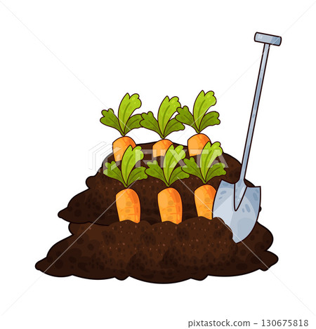 illustration of shovel digging carrot 130675818