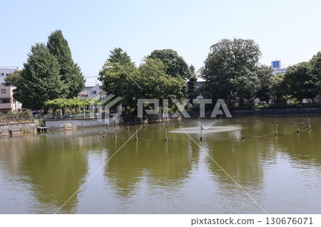 Himonya Park and Benten Pond (Meguro Ward, Tokyo) 130676071
