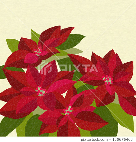 紅色聖誕花，一品紅 130676463