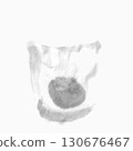 Monochrome illustration of plum blossoms 130676467