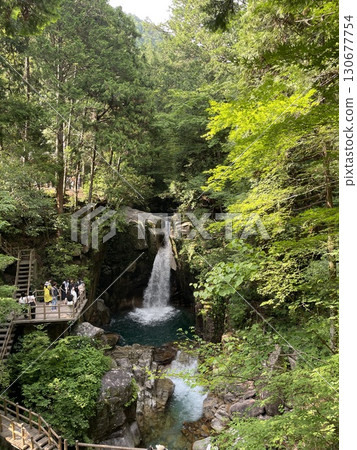 被新鮮綠色植物環繞的瀑布 130677754