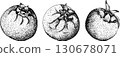 Set of illustrations featuring serviceberry, saskatoon clusters, flowers, and single berries. 130678071