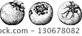 Set of illustrations featuring serviceberry, saskatoon clusters, flowers, and single berries. 130678082