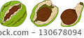 Vector colored illustrations of coconuts. Perfect for tropical for food themed designs.  130678094