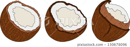 Vector colored illustrations of coconuts. Perfect for tropical for food themed designs. Vector colored illustrations of coconuts. Perfect for tropical for food themed designs. 130678096