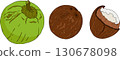 Vector colored illustrations of coconuts. Perfect for tropical for food themed designs.  130678098