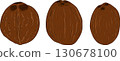 Vector colored illustrations of coconuts. Perfect for tropical for food themed designs.  130678100