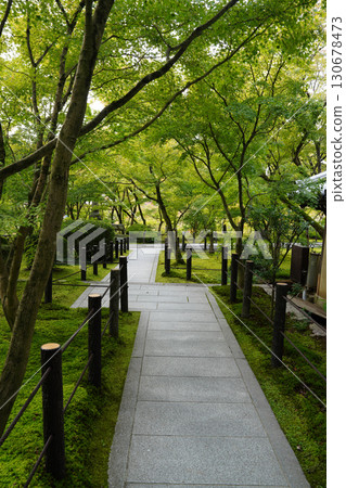 The approach to a Kyoto temple surrounded by greenery The approach to a Kyoto temple surrounded by greenery 130678473