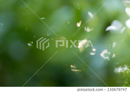 Business concept nature revolves around citrus orchard orange tree are growing, vibrant fruit organic lush leaves creating stunning background, green blur garden of thriving crop ripe laden branches 130679747