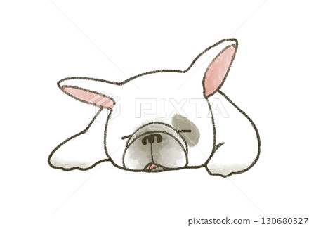 Sleeping french bulldog Sleeping french bulldog 130680327