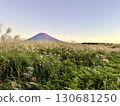 清晨從紫芒田野上眺望富士山 130681250