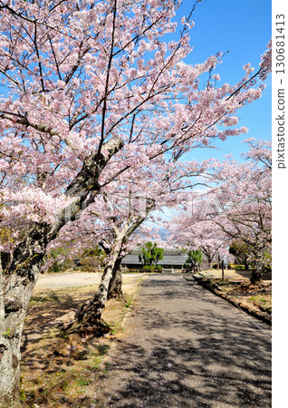 Kii Fudoki Hill (Walking Trail) [Wakayama City, Wakayama Prefecture] 130681413