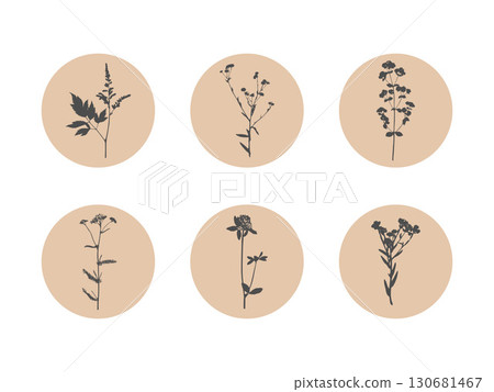 Botanical floral badge featuring silhouettes of plant prints inside round circles. Great for stickers, eco-branding and minimal packaging 130681467