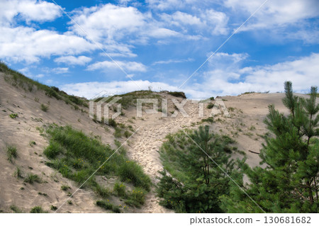Nature Scene with Sandy Dunes, Greenery, and Bright Blue Sky 130681682