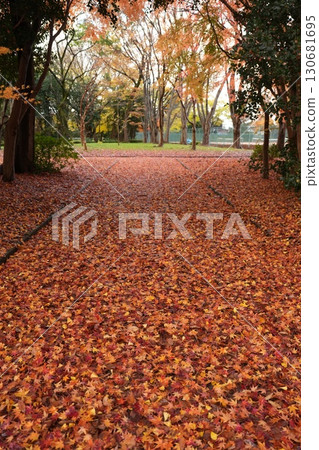 Road of fallen leaves 130681695