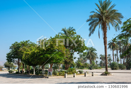 Tourists Walk on a Tree-Lined Path Near Karnak Temple 130681996