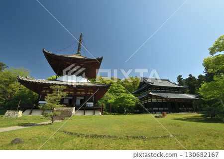 Negoro-ji Temple (Tahoto Pagoda and Daidenpo Hall) [Iwade City, Wakayama Prefecture] 130682167