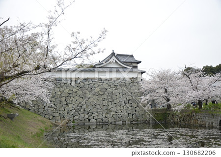 櫻花和城堡 櫻花和城堡 130682206