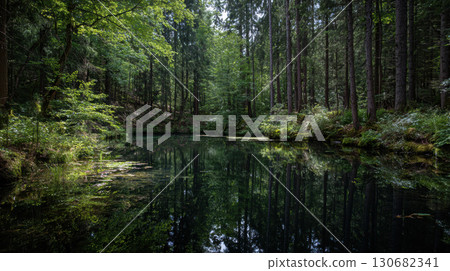Hidden lake deep forest still water reflection peaceful nature landscape Hidden lake deep forest still water reflection peaceful nature landscape 130682341
