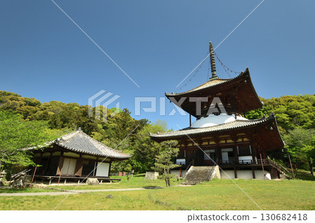 Negoro-ji Temple (Daishi Hall and Tahoto Pagoda) [Iwade City, Wakayama Prefecture] 130682418