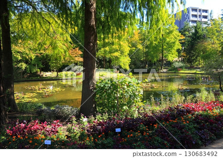 弗拉里花園中心的綠洲般的池塘 130683492