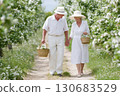 Senior couple walking through a blooming orchard holding hands and carrying baskets of white flowers, dressed in white clothes and sun hats on a sunny day Senior couple walking through a blooming orchard holding hands and carrying baskets of white flowers, dressed in white clothes and sun hats on a sunny day 130683529