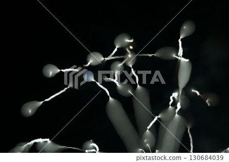 Tottori Four Seasons Walk Summer Fireworks Art 130684039