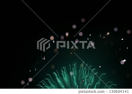 Tottori Four Seasons Walk Summer Fireworks Art Tottori Four Seasons Walk Summer Fireworks Art 130684141