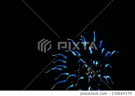 Tottori Four Seasons Walk Summer Fireworks Art 130684379