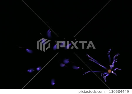 鳥取四季漫步 夏季煙火藝術 130684449