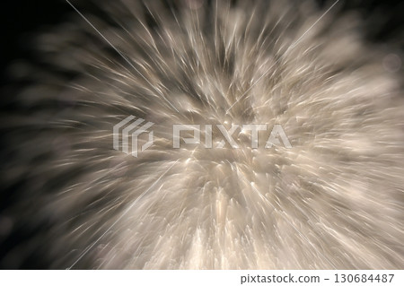 Tottori Four Seasons Walk Summer Fireworks Art Tottori Four Seasons Walk Summer Fireworks Art 130684487