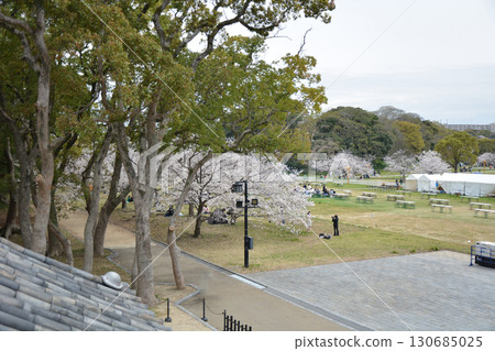 Bustling park with cherry blossoms in bloom Bustling park with cherry blossoms in bloom 130685025