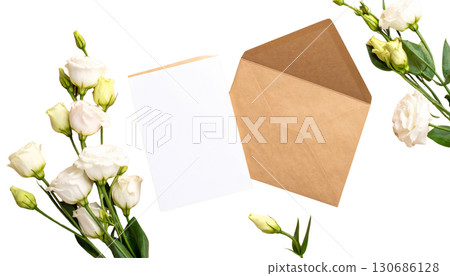 Flowers on white background with beautiful floral pink rose petals and green leaf stem Flowers on white background with beautiful floral pink rose petals and green leaf stem 130686128