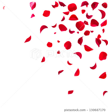Red rose petals isolated on white background 130687170