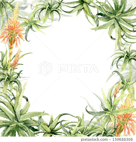 Aloe vera frame with orange flowers watercolor illustration 130688308