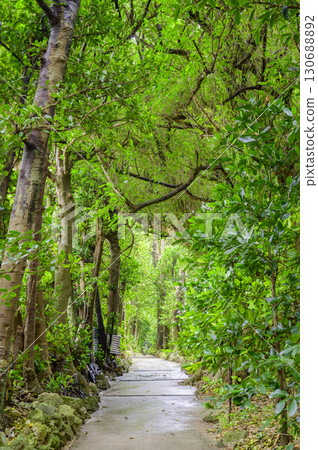 Proceed through the fresh green 130688892