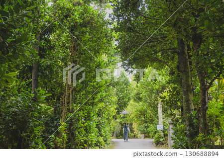 A road surrounded by green A road surrounded by green 130688894