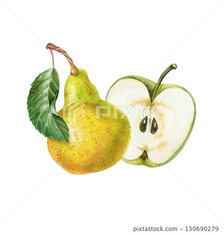 A hand-drawn half of an apple and a pear with a green leaf. The watercolor illustration is isolated on a white background. A botanical template with juicy seasonal fruits for the menu, gardening and 130690279