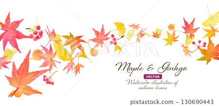 銀杏樹、莓果和紅楓交相輝映的波浪形背景。秋日水彩畫。橫幅背景。 （向量） 130690443