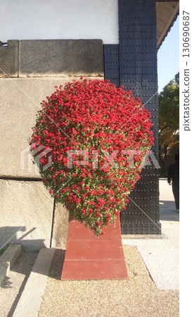 Red flower gardening Red flower gardening 130690687
