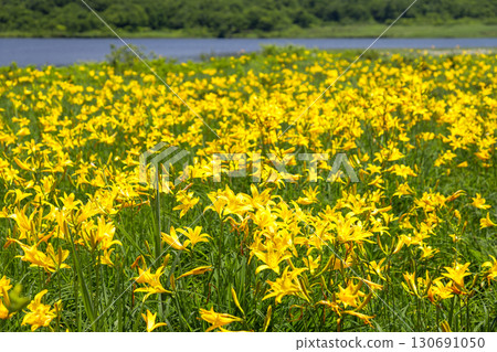 福島縣喜多方市熊村町小國 130691050