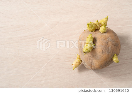 sprout potato bud sprout potato Sprouted potatoes ジャガイモ sprout sprout potato bud sprout potato Sprouted potatoes ジャガイモ sprout 130691620