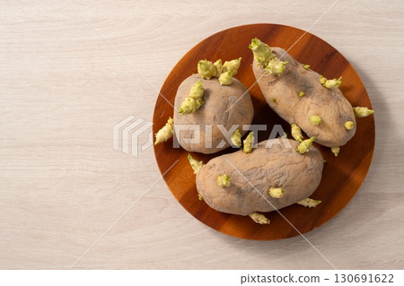 sprout potato bud sprout potato Sprouted potatoes ジャガイモ sprout sprout potato bud sprout potato Sprouted potatoes ジャガイモ sprout 130691622